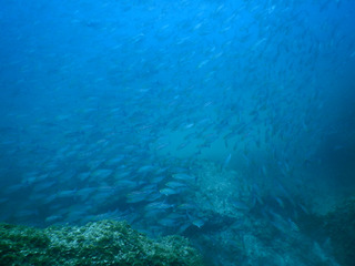 DSCN3036