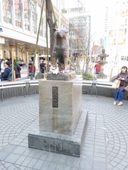 20190315_113258
