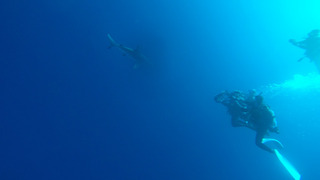 G0084602