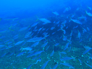 P5053123