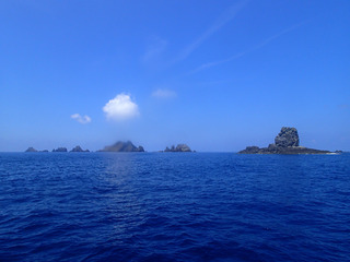 P8040101