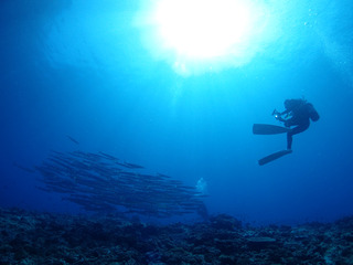 P6090041