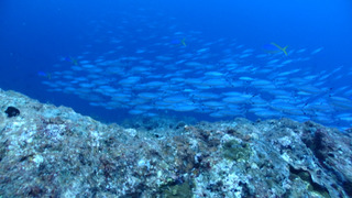P8040170