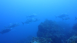 P5190084
