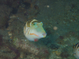 P5030074