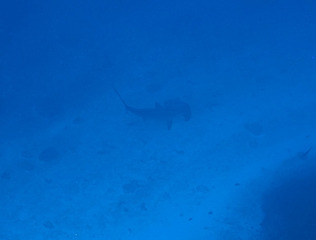 DSC08448