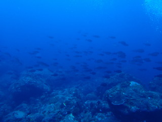 P6241763