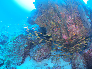 P9105753