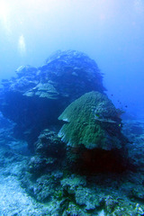 DSC04359