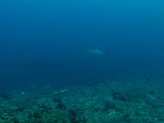 GOPR0401