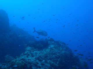 M9336107