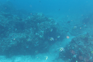 2U4A1607