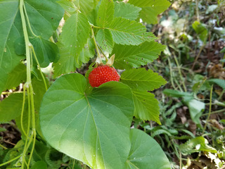 20180504_150152