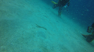 G0046948