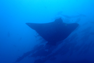P4220329