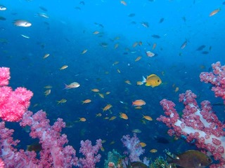 P7280085