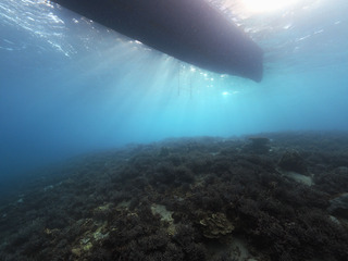 P2114657
