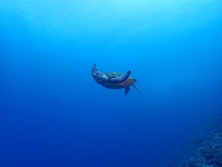 P4210071