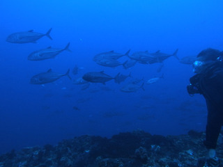 P7180562