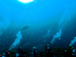 P4280990