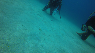 G0046949