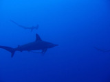 P4160269