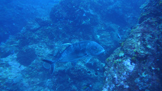 P5190088
