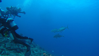 G0024578