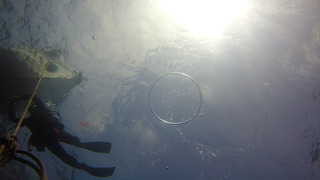 G0167051