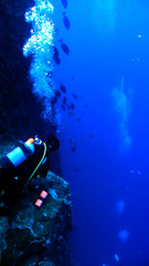 P8030033