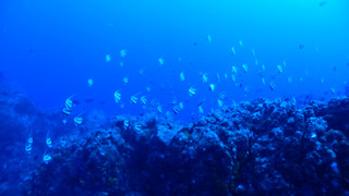 P8050191