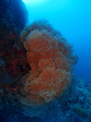 P4210020