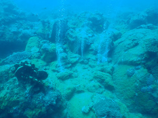 P4290002 (2)