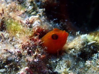 P7220248