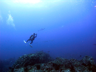 M9336016