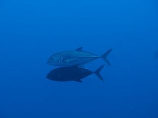 P7190692