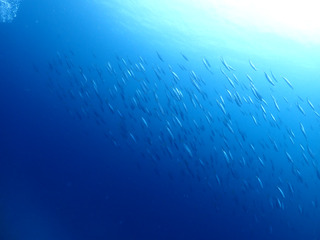 P4210057