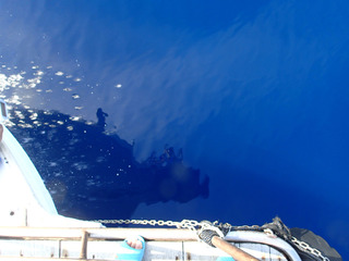 P4290018