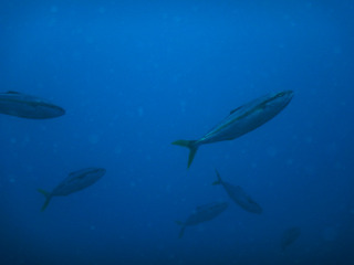 DSCN3022