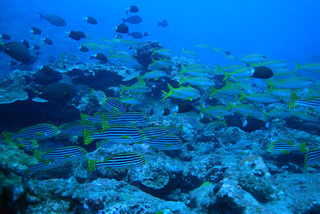P5200217