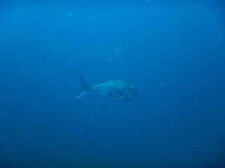 DSCN2911