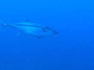 P7180082