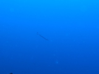 P7190104