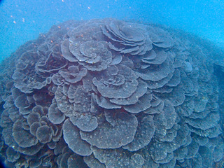 P2100548