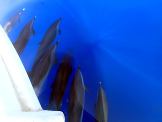 P8040060
