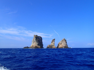 P8030029