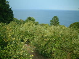 DSCF0028_2