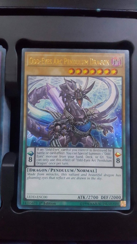 16469710313949