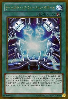 サイバネティック・フュージョン・サポート