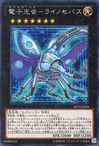 電子光虫